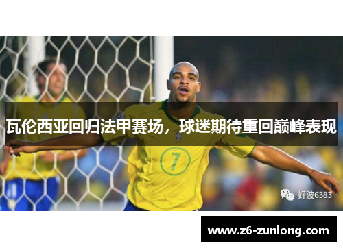 瓦伦西亚回归法甲赛场,球迷期待重回巅峰表现
